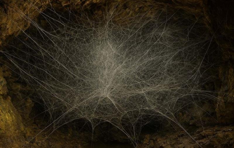 वैज्ञानिकों ने एक सल्फर गुफा में दुनिया का सबसे बड़ा मकड़ी का जाला खोजा वैज्ञानिकों ने एक सल्फर गुफा में दुनिया का सबसे बड़ा मकड़ी का जाला खोजा