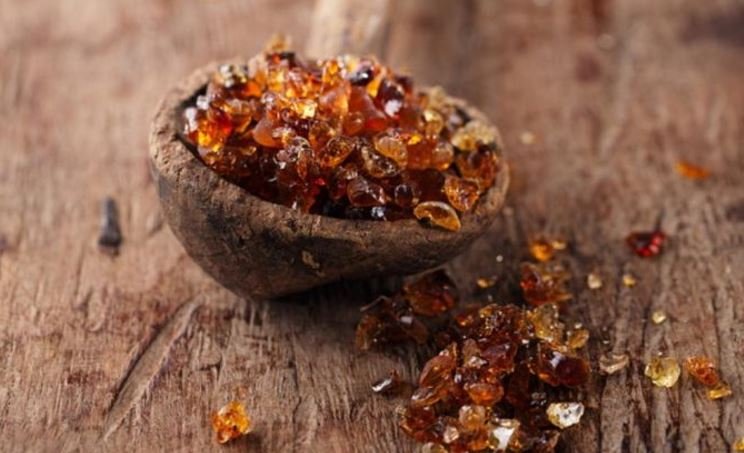 हड्डियों को बनाए स्टील जैसा मजबूत, आजमाएं बबूल गोंद वाला दूध नुस्खा हड्डियों को बनाए स्टील जैसा मजबूत, आजमाएं बबूल गोंद वाला दूध नुस्खा